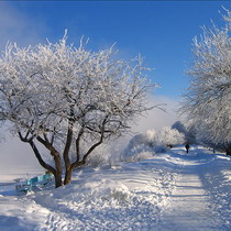 Когда в Украину придет зима: прогноз Гидрометцентра 