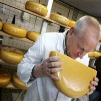 Украинский сыр не соответствует российским стандартам качества