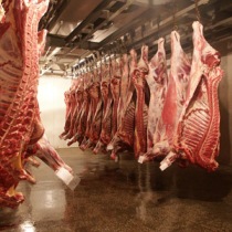 Украина отказалась от европейского мяса из-за экзотического вируса