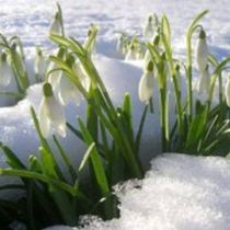 Когда в Украину придет весна: прогноз Гидрометцентра 