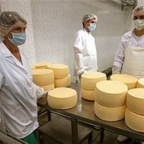 Российские сырные эксперты едут проверять украинские заводы 