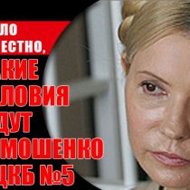 Стало известно, какие условия ждут Тимошенко в ЦКБ №5 (ФОТО)