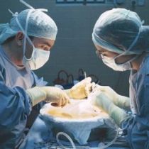 Минздрав хочет упростить процедуру получения согласия на пересадку органов умершего человека