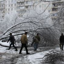 Снежный катаклизм в Хмельницком: повалены сотни деревьев, затруднено движение транспорта (ФОТО)