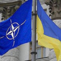 Янукович утвердил программу сотрудничества Украины с НАТО 