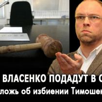 На Власенко подадут в суд за ложь об избиении Тимошенко 