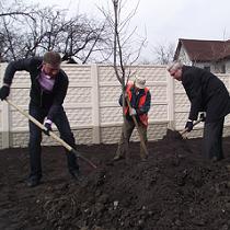 В Харькове выкапывают высаженные деревья. Геннадий Кернес