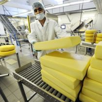Россия до сих пор закрыта для украинского сыра (Ветслужба)