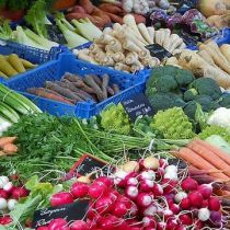 Минздрав разрешил украинцам есть ранние овощи: нитратов не обнаружено 