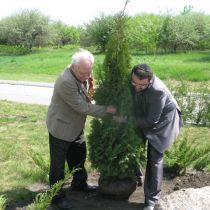 В Дробицком Яру высадили деревья в память жертвам Холокоста (ФОТО)