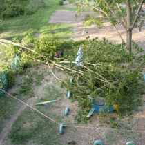 Упавшее дерево придавило двух детей на игровой площадке (ФОТО)