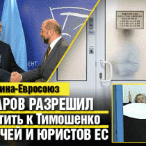 Азаров разрешил пустить к Тимошенко врачей и юристов ЕС 