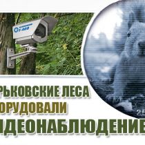 Харьковские леса оборудовали видеонаблюдением