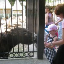 2 июня в Харьковском зоопарке пройдет праздник для детей