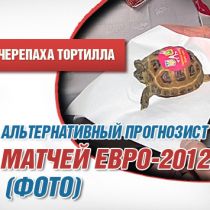 Альтернативный прогнозист матчей Евро-2012 появился в Харькове (ФОТО)