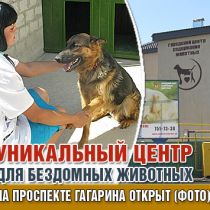 Уникальный центр для бездомных животных на проспекте Гагарина открыт (ФОТО)
