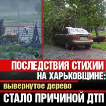 Последствия вчерашней стихии на Харьковщине: вывернутое дерево стало причиной ДТП