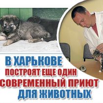 В Харькове построят еще один современный приют для животных