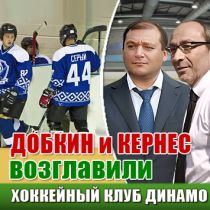 Добкин и Кернес возглавили хоккейный клуб Динамо