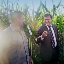 Добкин на полях Харьковщины нашел самый маленький початок кукурузы (ФОТО)
