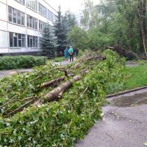 Вчерашний шквал повыворачивал в Харькове четыре сотни деревьев