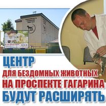 Центр для бездомных животных на проспекте Гагарина будут расширять