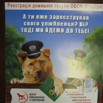 Четыре тысячи собак и кошек в Харькове уже получили паспорта