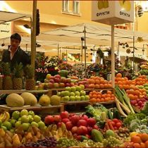 Азаров обеспечит Украину фруктами посредством создания оптовых рынков 