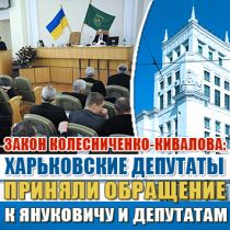 Закон Колесниченко-Кивалова: Харьковские депутаты приняли обращение к Януковичу и депутатам
