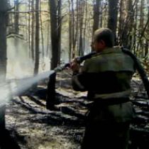 Крупный пожар в хвойном лесу под Харьковом: МЧС-ники боролись с огнем несколько часов
