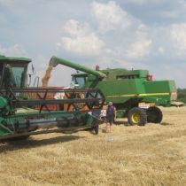 Самый качественный урожай за всю историю собирают на Харьковщине (ФОТО)