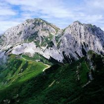 В Альпах при сходе лавины погибли девять альпинистов, четверо пропали без вести 