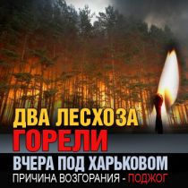 Два лесхоза горели вчера под Харьковом. Причина возгорания – поджог