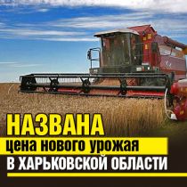 Названа цена нового урожая в Харьковской области