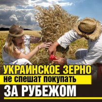 Украинское зерно не спешат покупать за рубежом