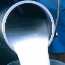 Украина потеряла молочный рынок из-за сырной войны с Россией