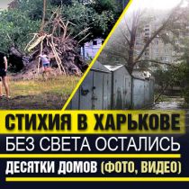 Стихия в Харькове: без света остались десятки домов (ФОТО, ВИДЕО)