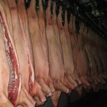 Импорт украинской свинины запрещен в Россию, Белоруссию и Молдавию