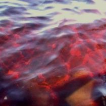 Море в Бердянске стало красным (ФОТО)