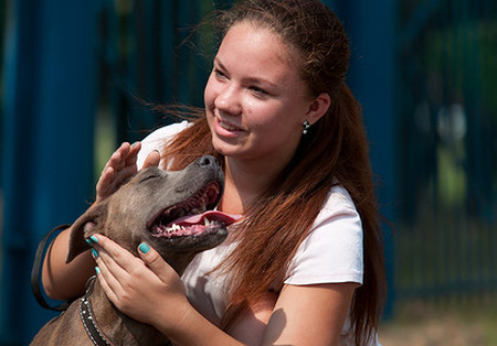 Харьковскому приюту для животных нужны волонтеры