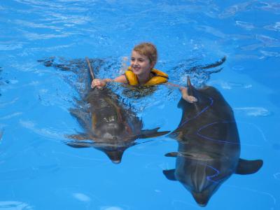 Дельфины из дельфинария Немо провели терапию с сотней юных харьковчан