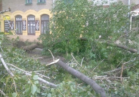 Комиссия МЧС постановила, что Харьковщина с катастрофами справится