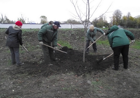 Добкин, Кернес и Чернов высадили десятки деревьев на проспекте Гагарина