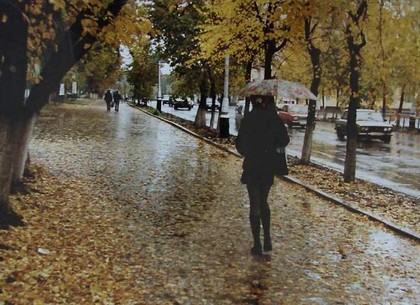 Ноябрь будет теплым и мокрым: прогноз Укргидрометцентра