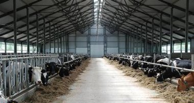 Азаров возместит аграриям стоимость строительства ферм
