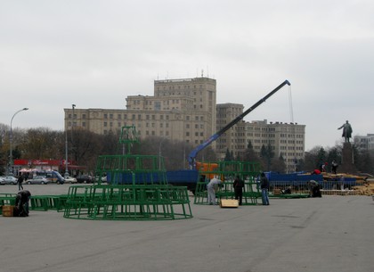На площади Свободы начали устанавливать главную елку Харькова (ФОТО)