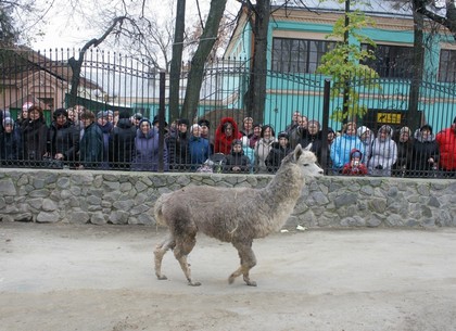 В Харьковском зоопарке появился новый обитатель по кличке Атос (ФОТО)