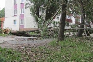 Стихия в Харькове: транспортный коллапс и поваленные деревья