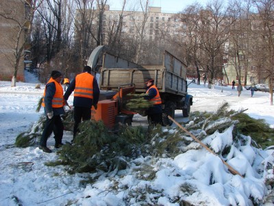 Коммунальщики Харькова превращают новогодние елки в опилки