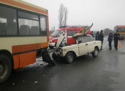 Под Харьковом столкнулись семь машин и автобус: погибла женщина (ФОТО)